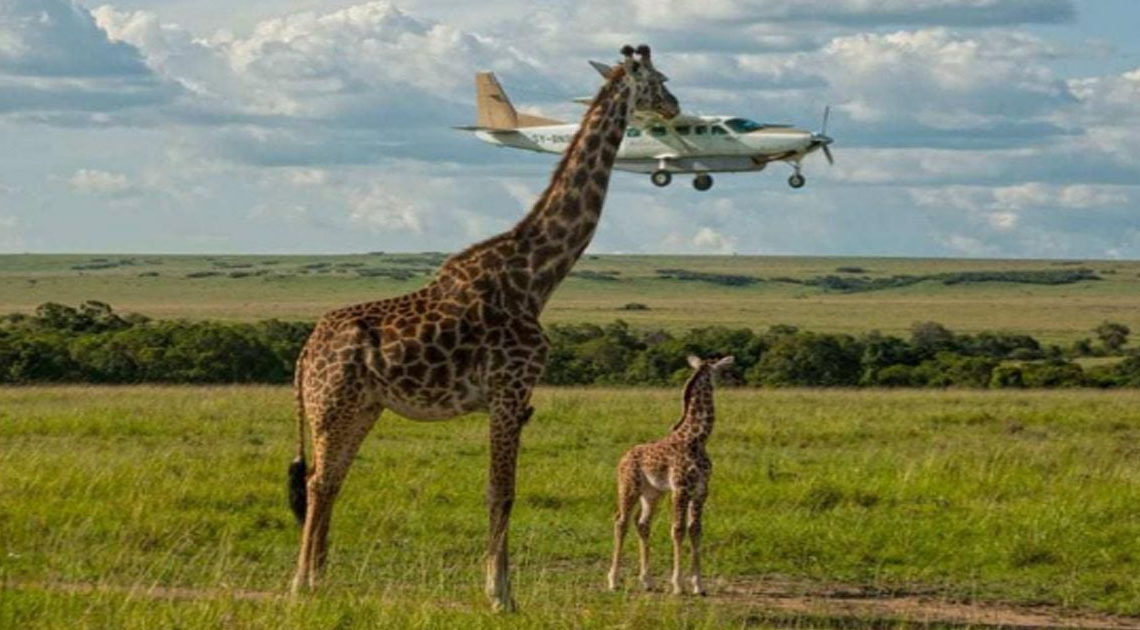 20 коварных фотографий, на которых происходит одно, а видится совершенно другое 20 коварных фотографий, на которых происходит одно, а видится совершенно другое